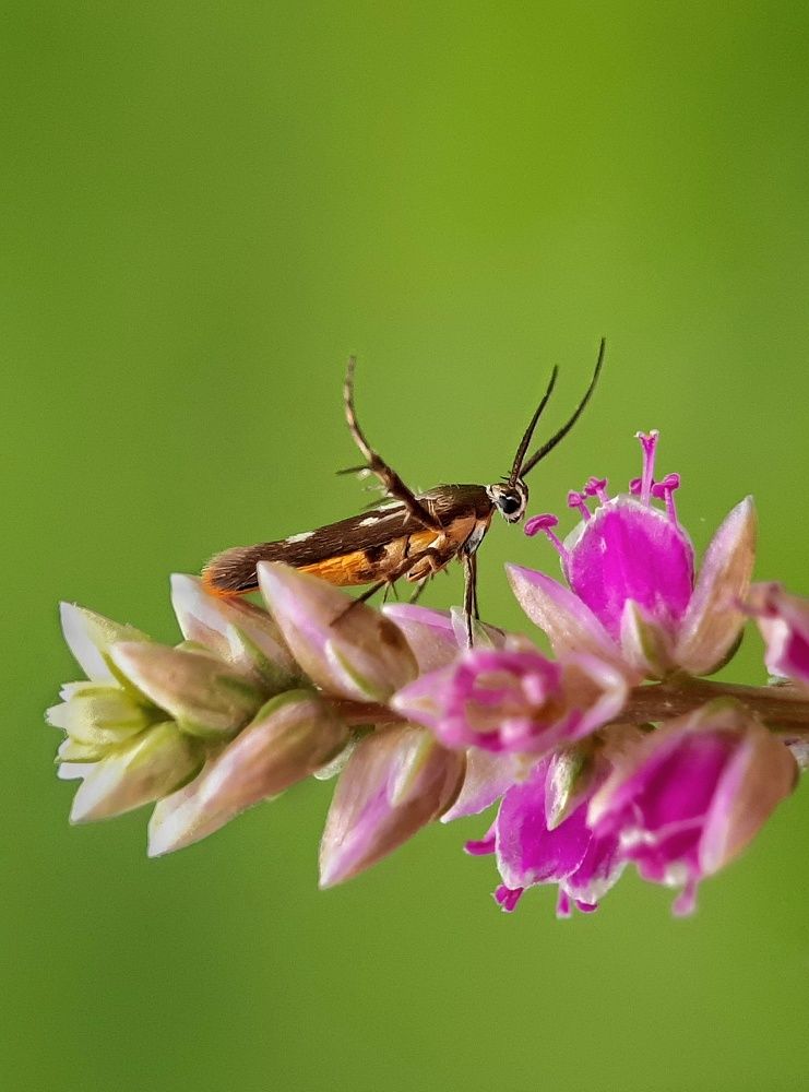 Photograph by NISHEETH Pimpaldara