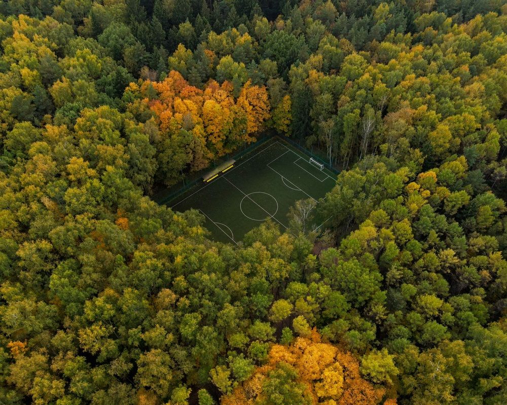 Photograph by Анастасия Юсова