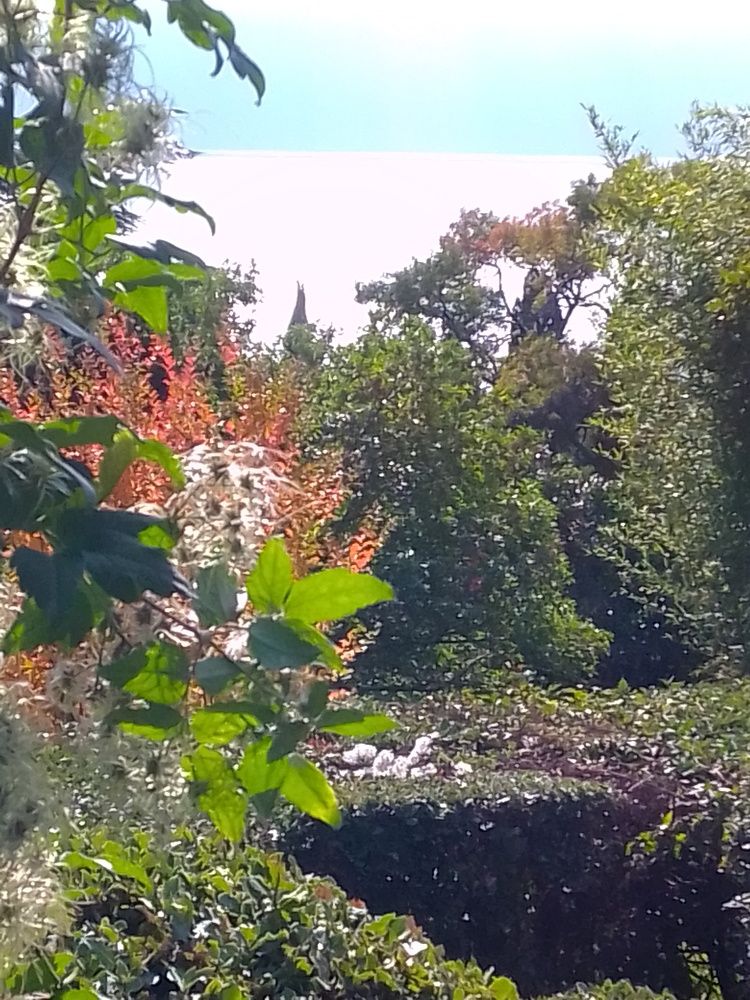 Photograph by Нина Гирнык