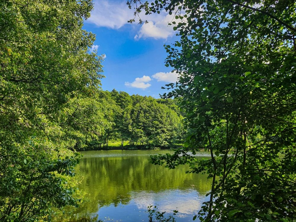 Photograph by Эльвира Куликова