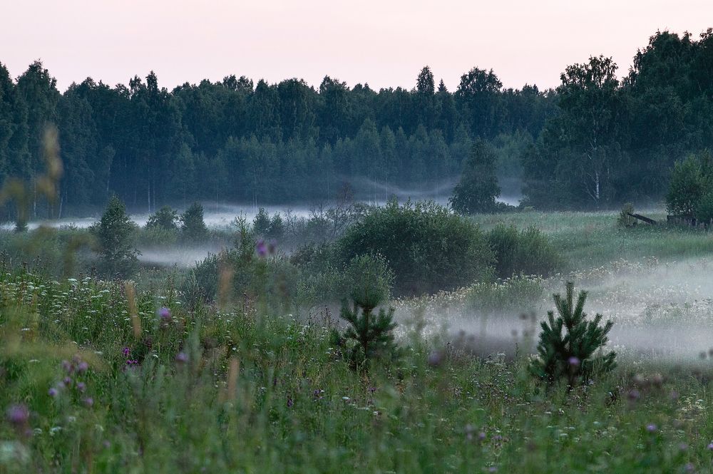 Photograph by Елена Сухарева