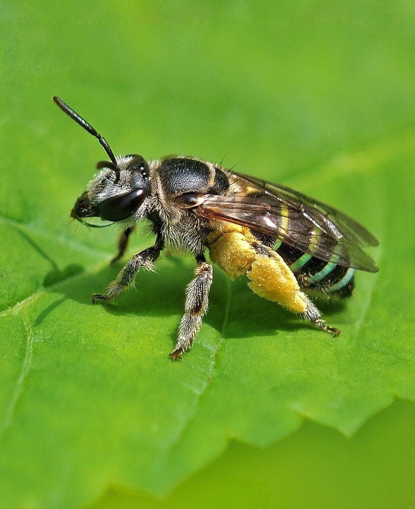 Photograph by NISHEETH Pimpaldara