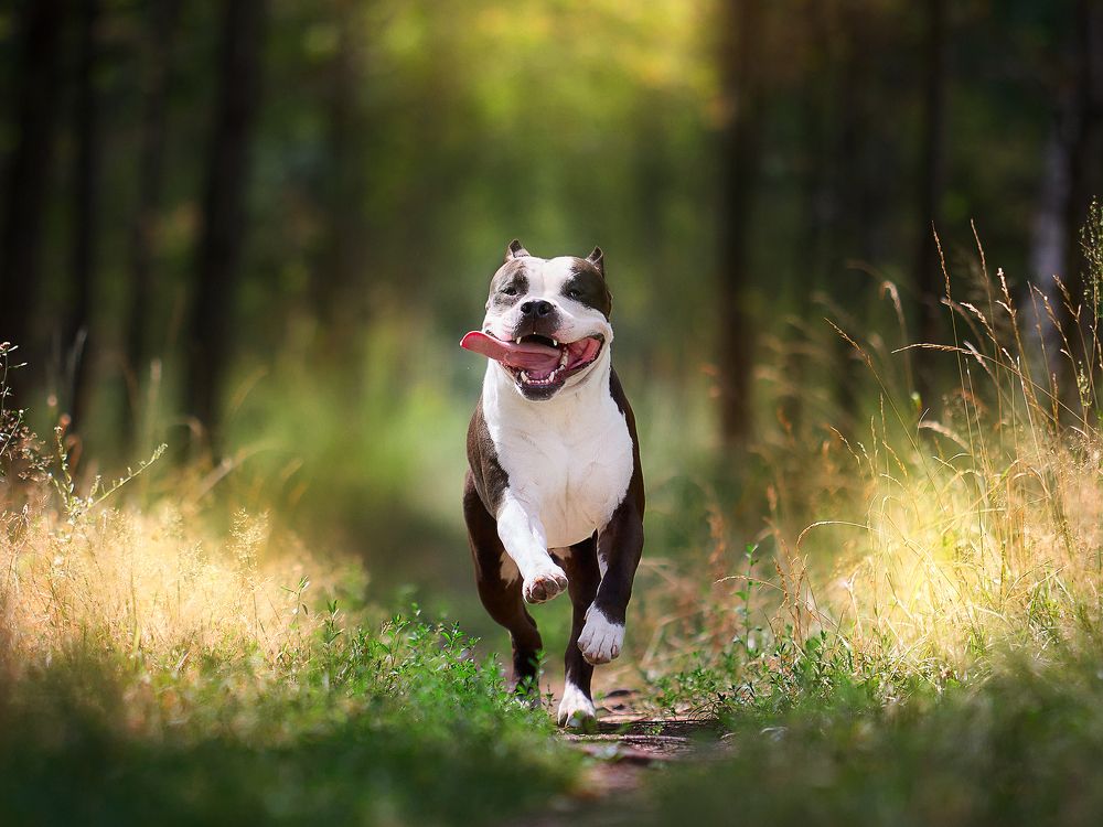 Photograph by Старостина Евгения