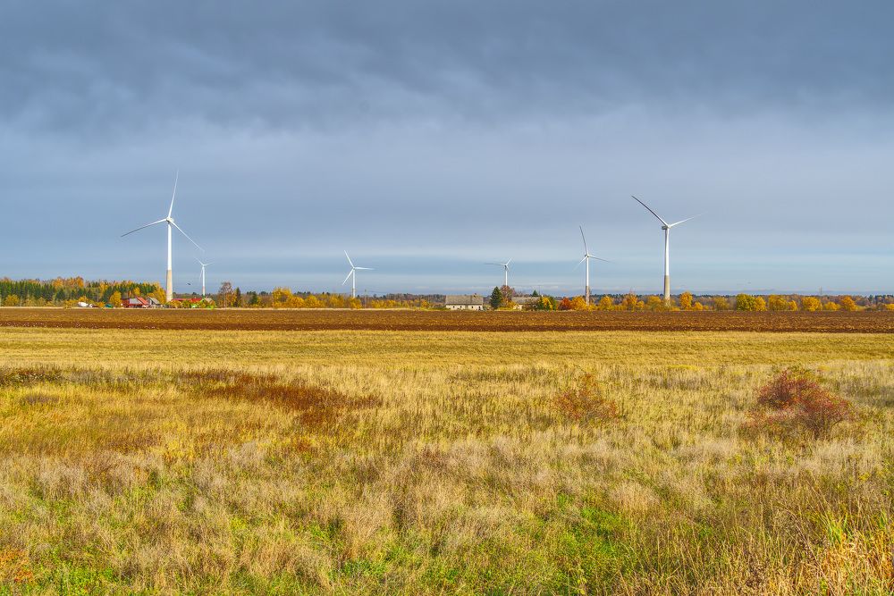 Photograph by Ilja Enger-Tsizikov