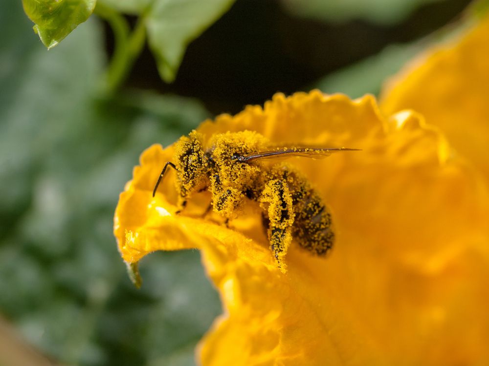 Фотография автора Екатерина Молодкина