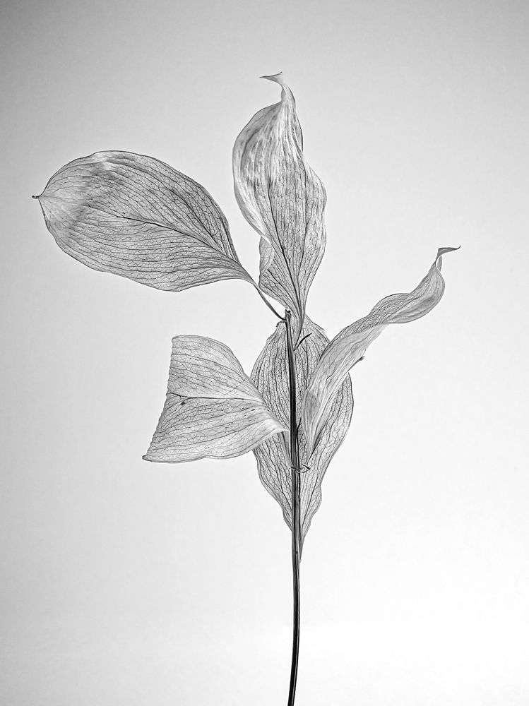 Фотография автора Наталья