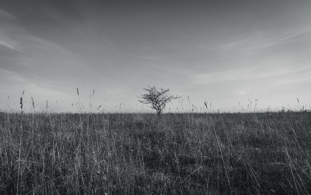 Photograph by Шаромов Иван