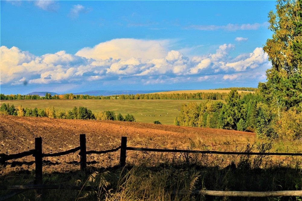 Осень в Малом Никурике