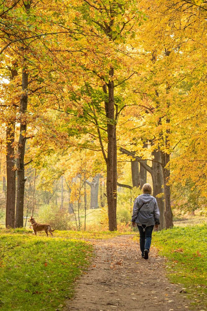 Photograph by Юлия Куликова