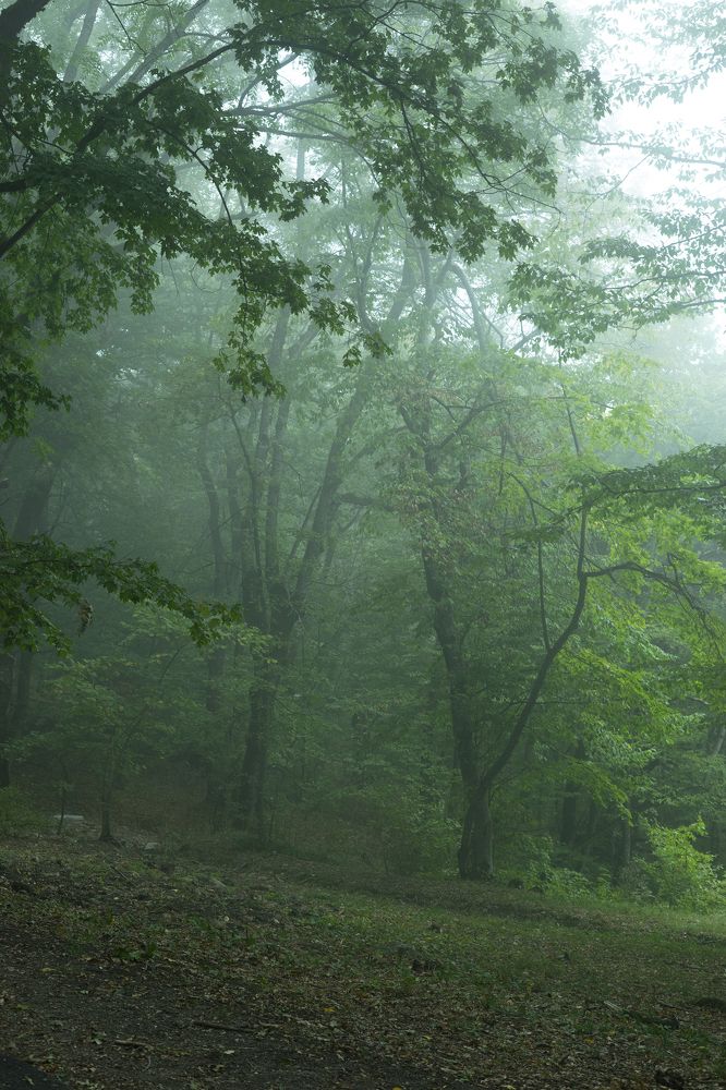 Photograph by Светлана Дегтярева