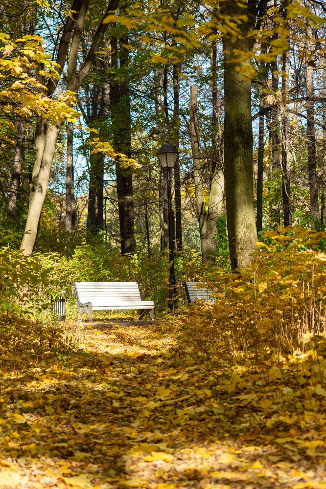 Photograph by Раиса Иванова