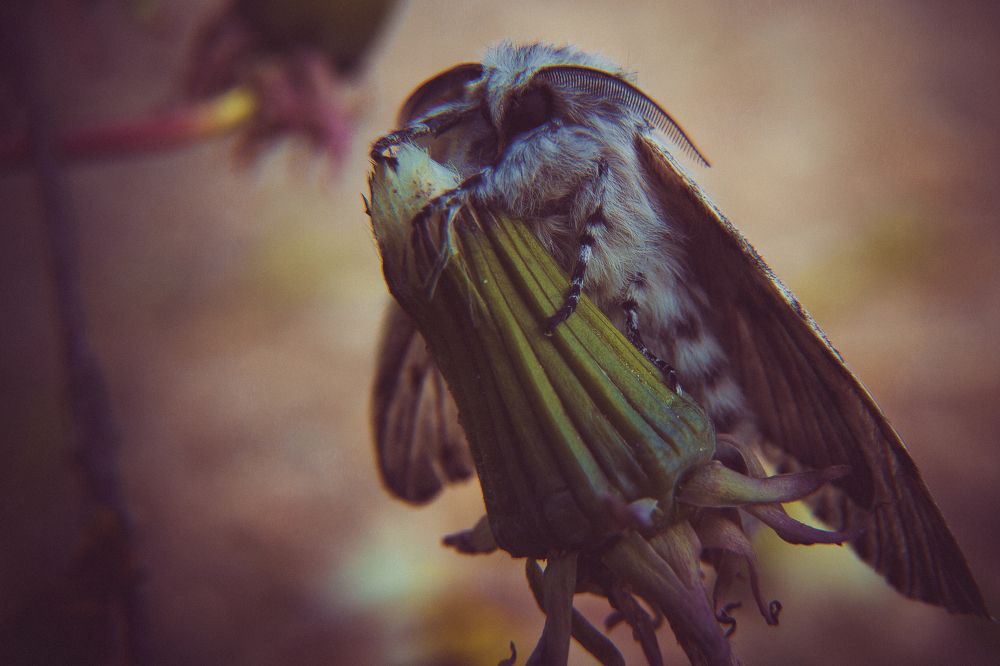 Photograph by Андрей Семенников