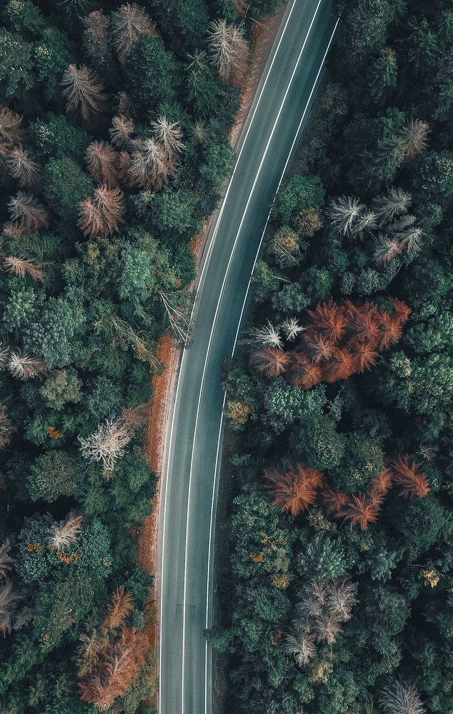 Photograph by Alexey Nikitin