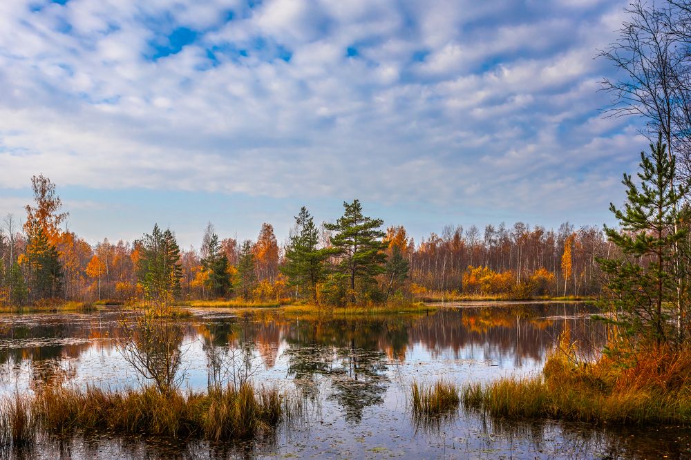 Фотография автора Роман
