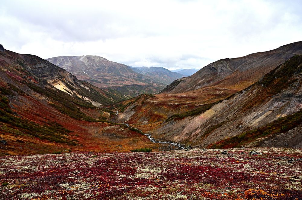 Осенние краски Камчатки