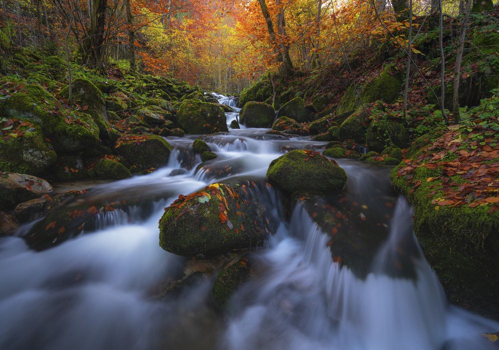 Photograph by Stan Cosmin