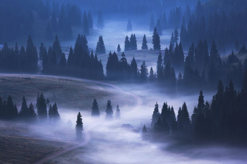 Photograph by Stan Cosmin