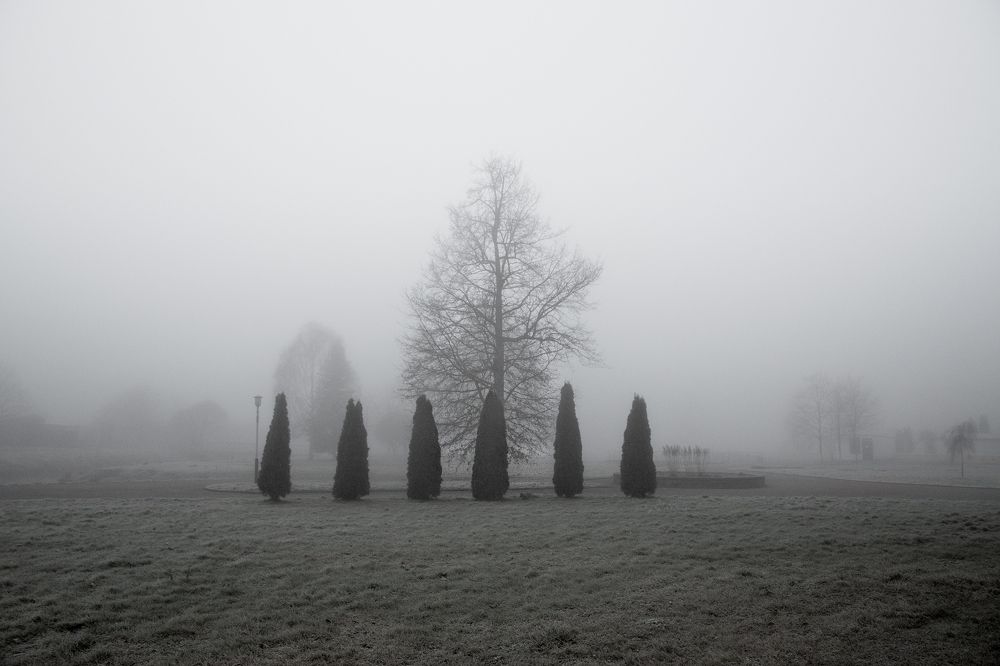 Photograph by Алена Устинович