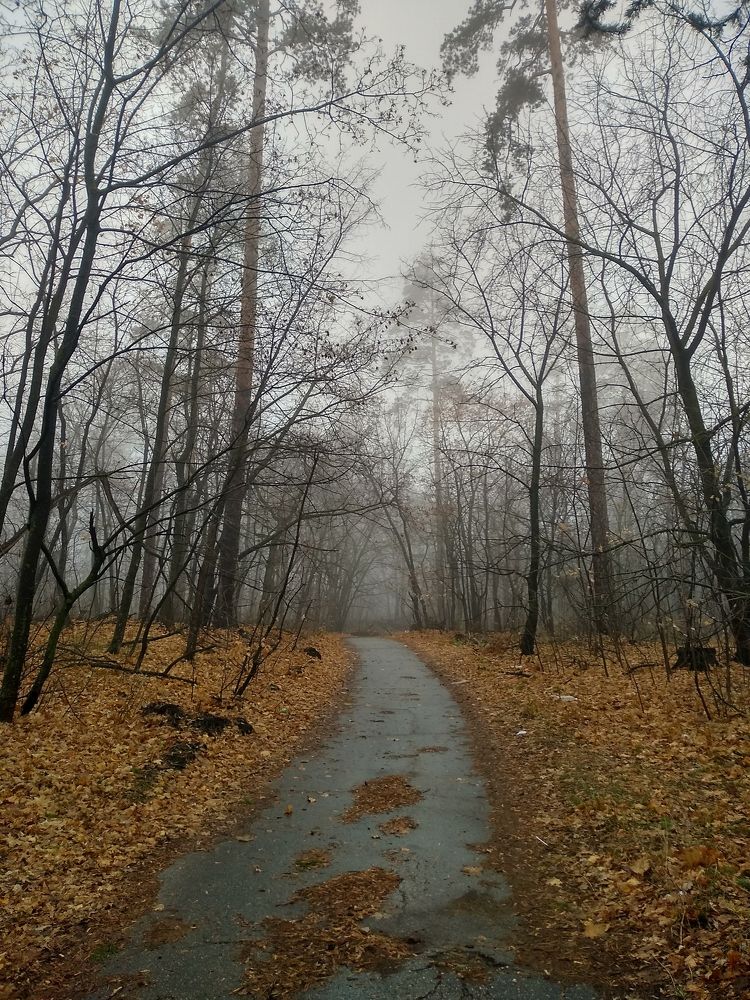 Photograph by Павел