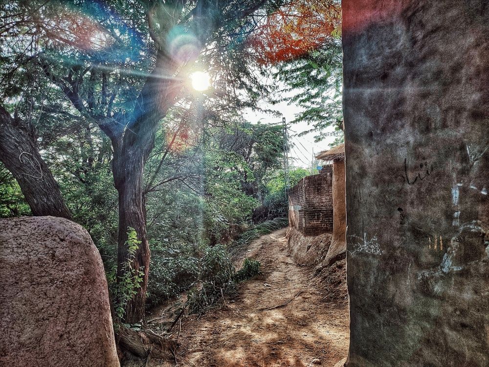 Photograph by Dr Abdullah Safeer