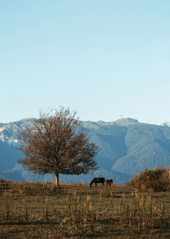 Photograph by Ольга Сычева
