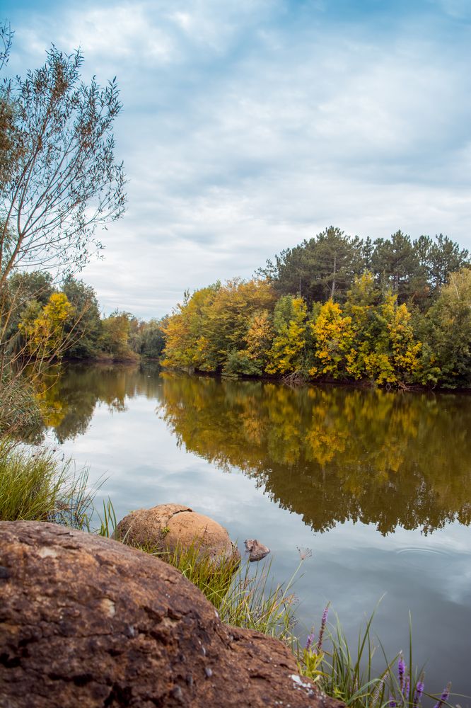 Photograph by Елена Плотникова