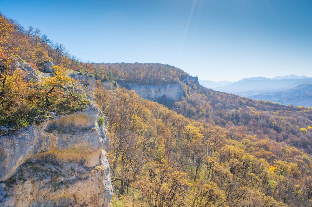 Photograph by Елена Плотникова