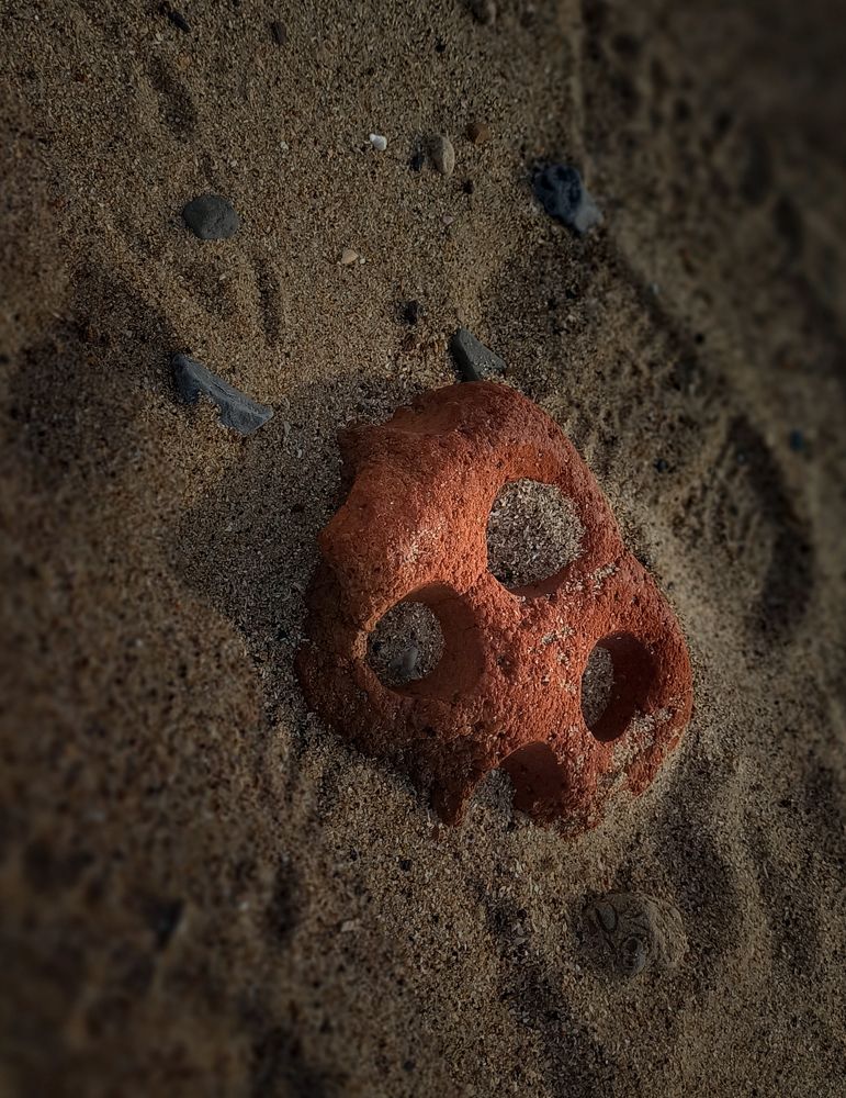 Photograph by Оксана Дмитриева