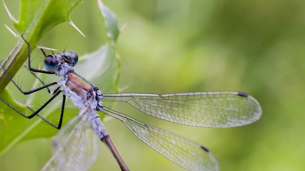 Photograph by Maksim Zhdanovich