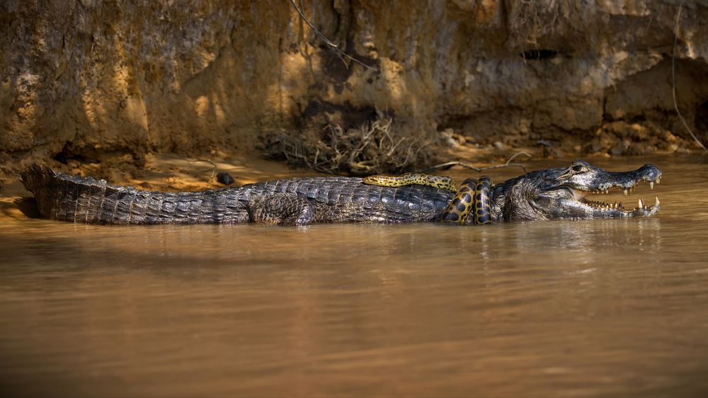 В крепких объятиях