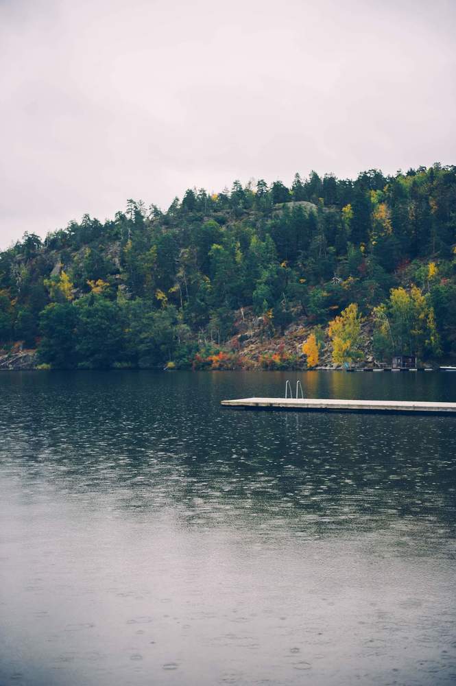 Photograph by ana correia