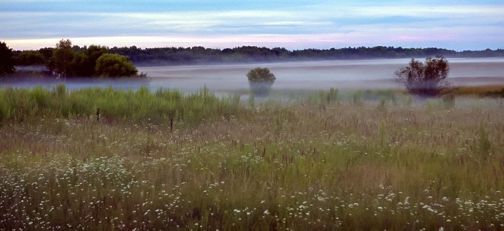 Photograph by Plotnikov Sergey