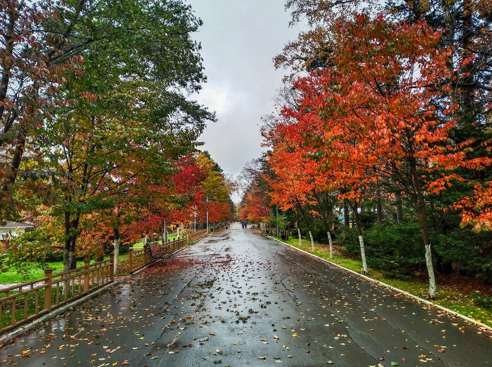 Сахалинская осень