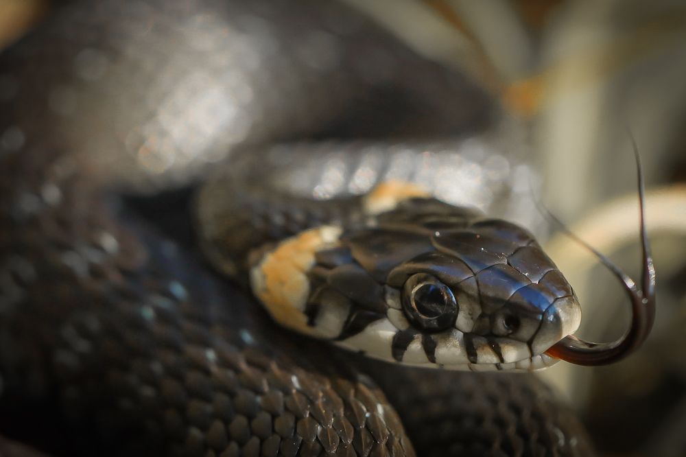 Photograph by Павел Павловский