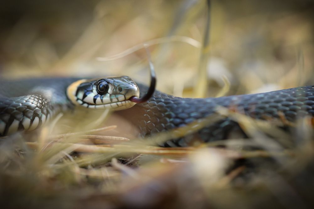 Photograph by Павел Павловский