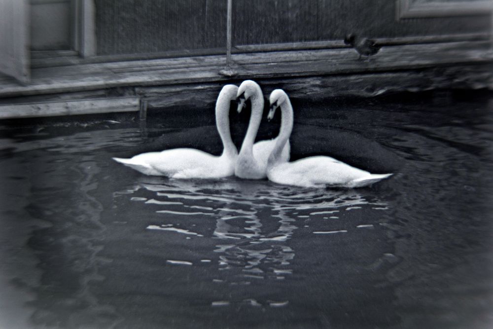 Photograph by mihail