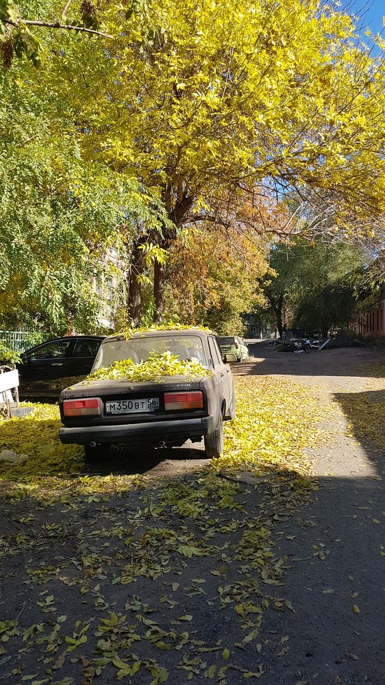 Припорошило