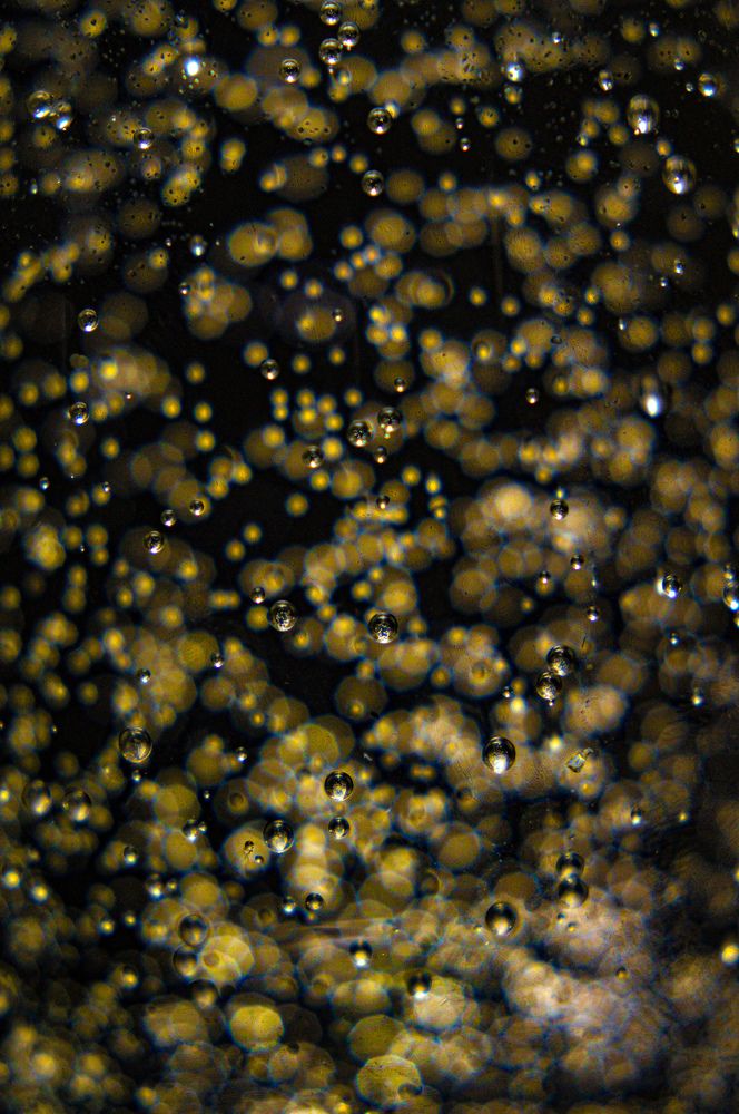 Photograph by Павел Стаценко