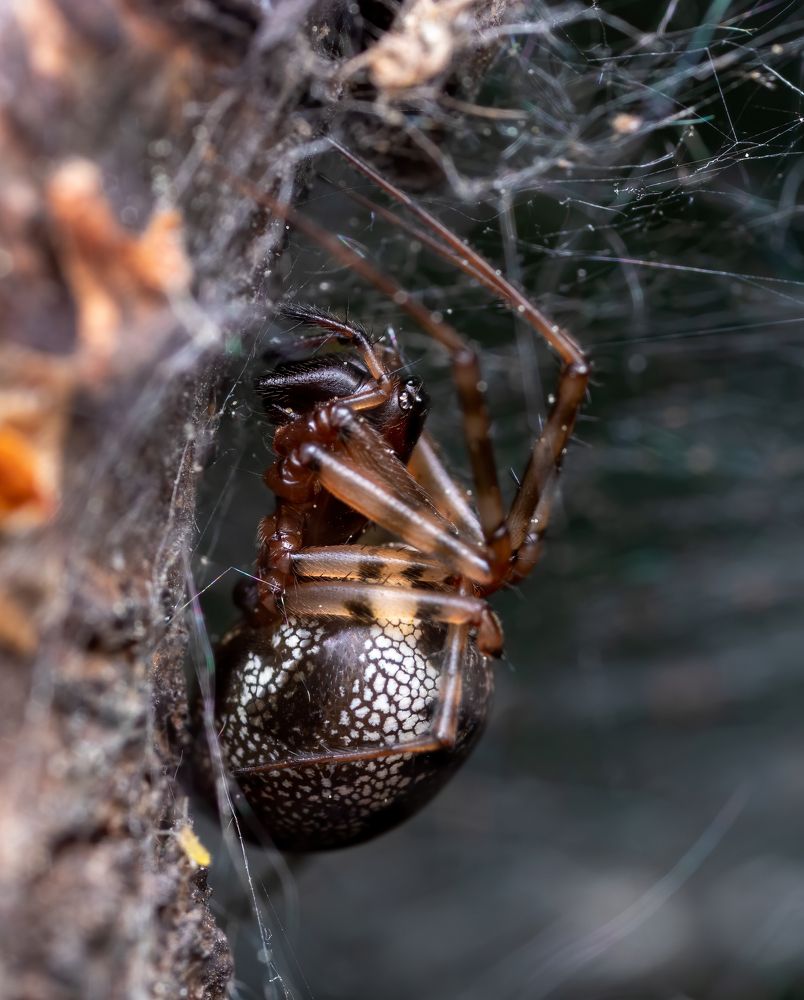 Photograph by Глеб Коровко