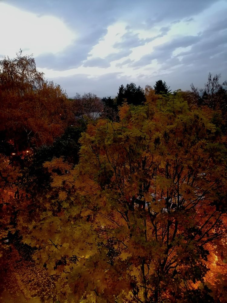 Photograph by Vesna Petkoska