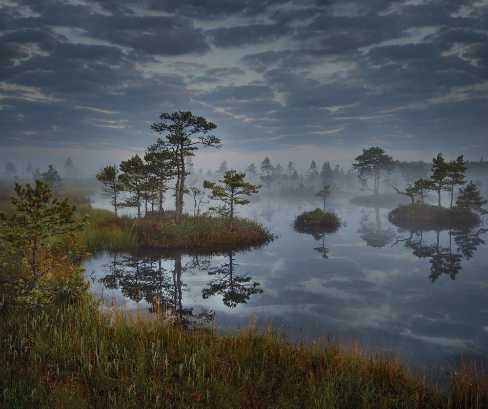 Photograph by Анастасия