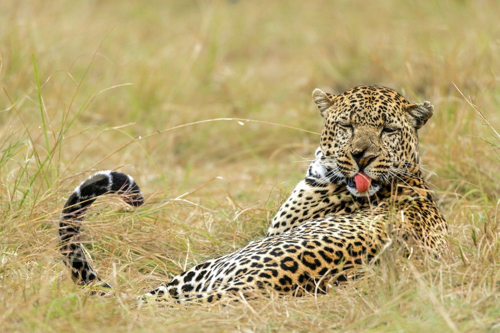 Photograph by Renny Poulose