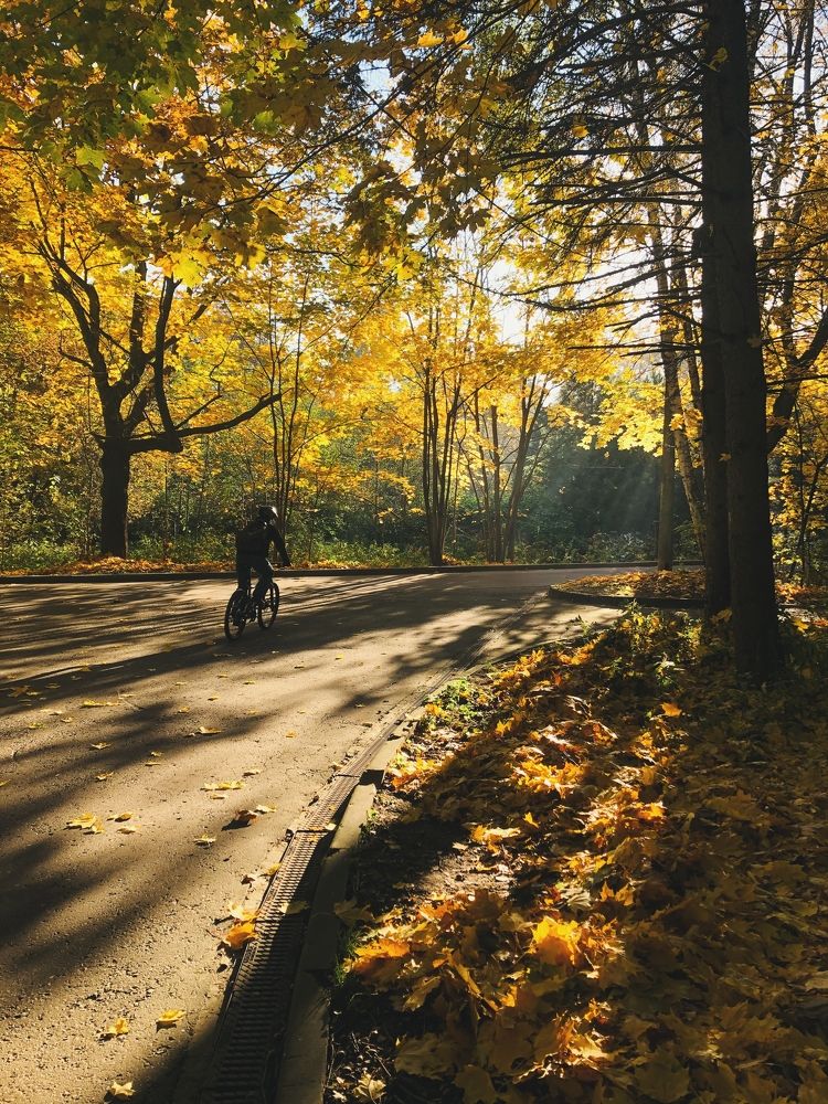 Photograph by Kaiser Sozo