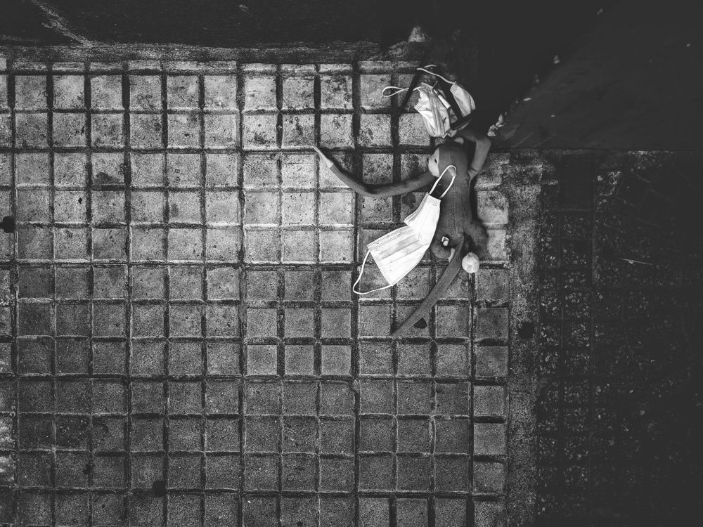 Photograph by Federico Fallabrino