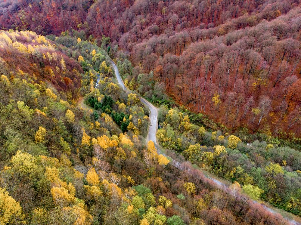 Photograph by Cristian Brancu