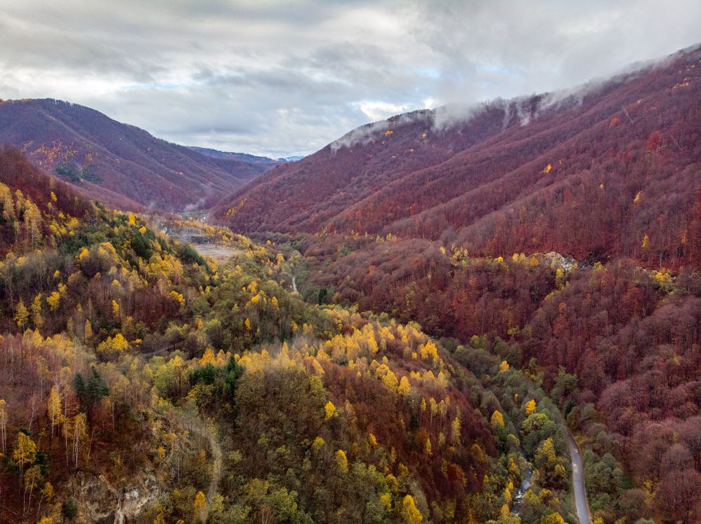 Photograph by Cristian Brancu