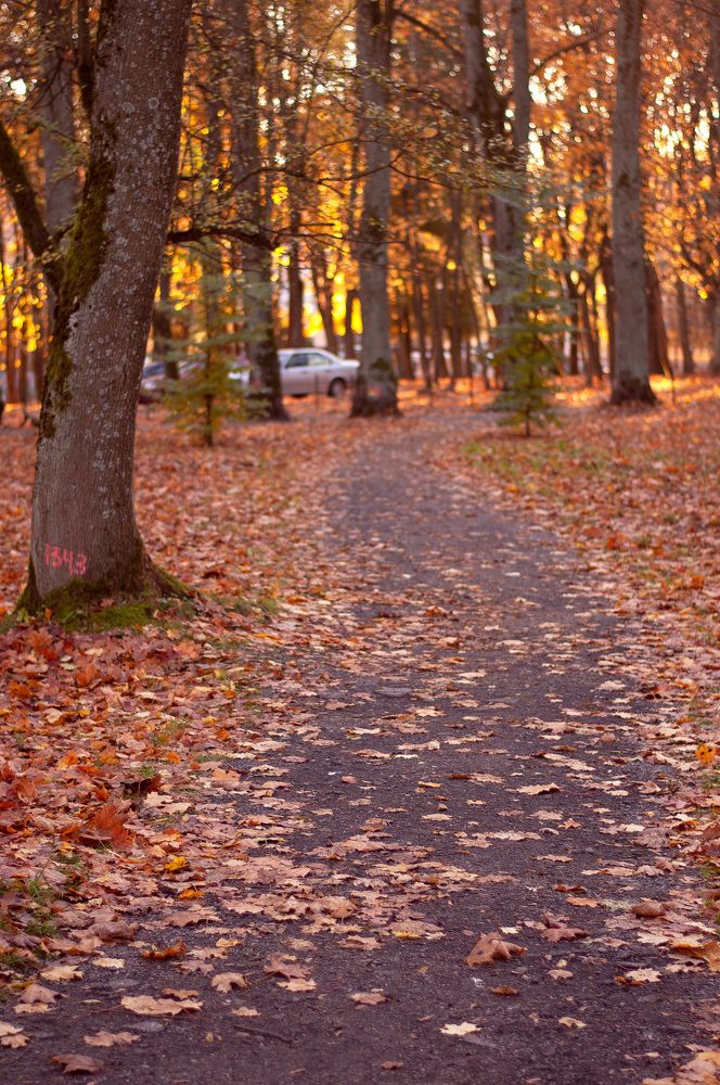 Photograph by Павел Юнусов