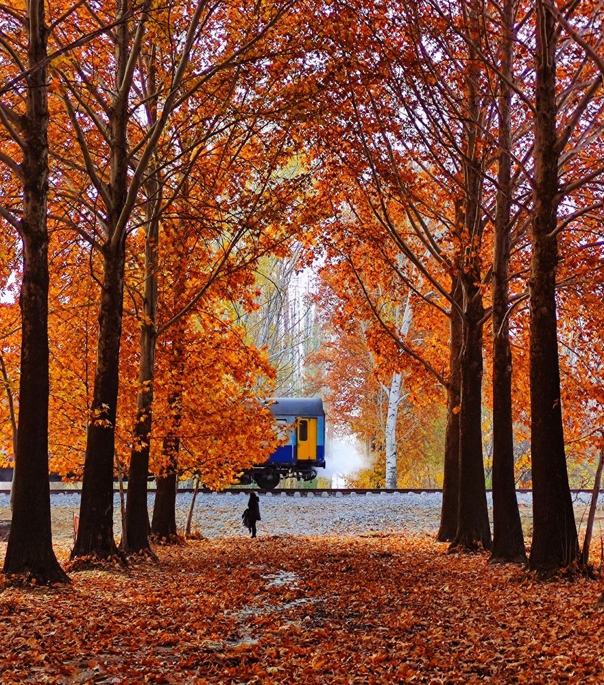 Photograph by Ali goreishi