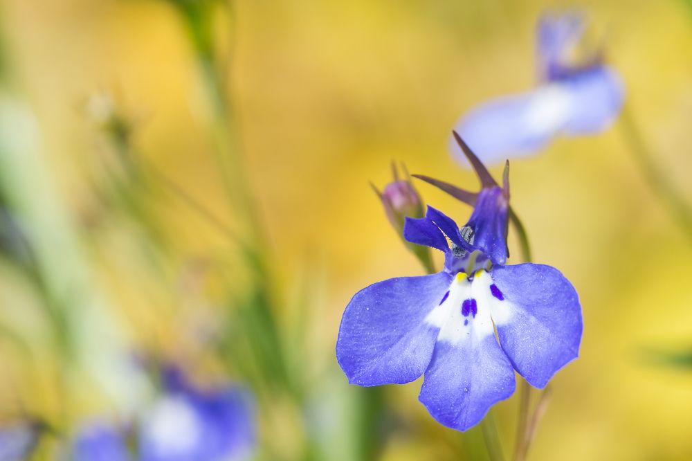 Photograph by Ольга