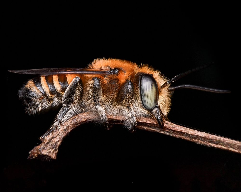 Photograph by Parvathy